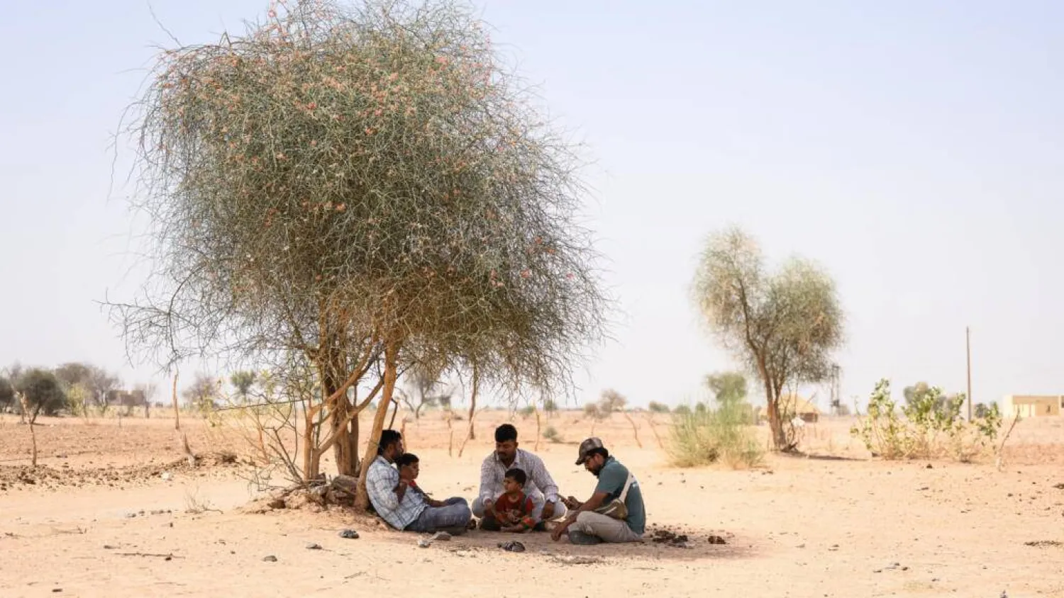 Herdsman Sawai Singh Bhati (C) sits under the shade of a tree in 44 degrees Celsius temperatures, near his house in Sanwata village, Rajasthan. Manan VATSYAYANA / AFP
