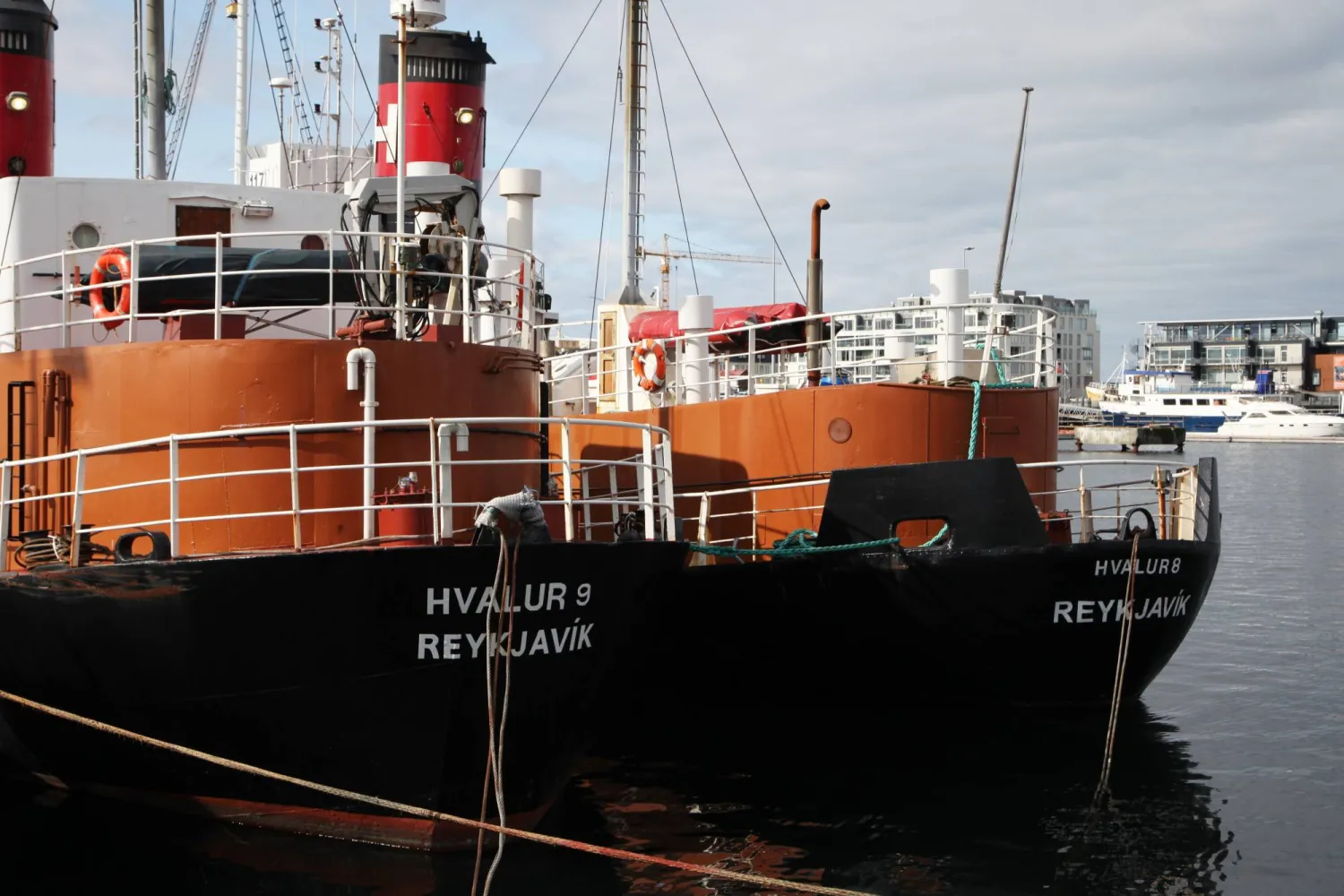 FILED - 23 August 2019, Iceland, Reykjavik: FILE PHOTO - The whaling ships Hvalur 9 (L) and Hvalur 8 are docked in the harbor. Photo: Steffen Trumpf/dpa