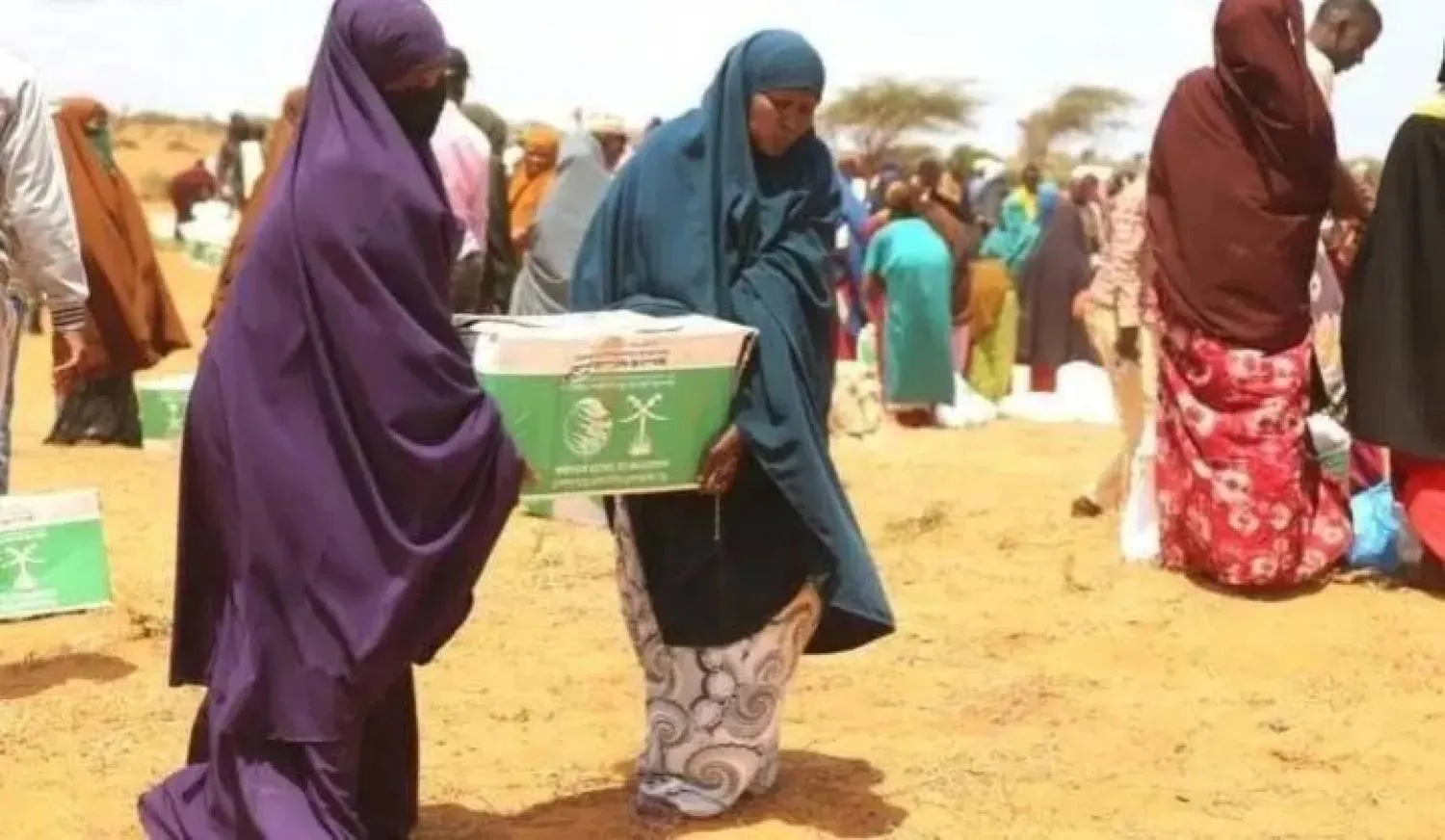 Projects implemented by the King Salman Humanitarian Aid and Relief Center have benefited 113 countries worldwide (SPA). 