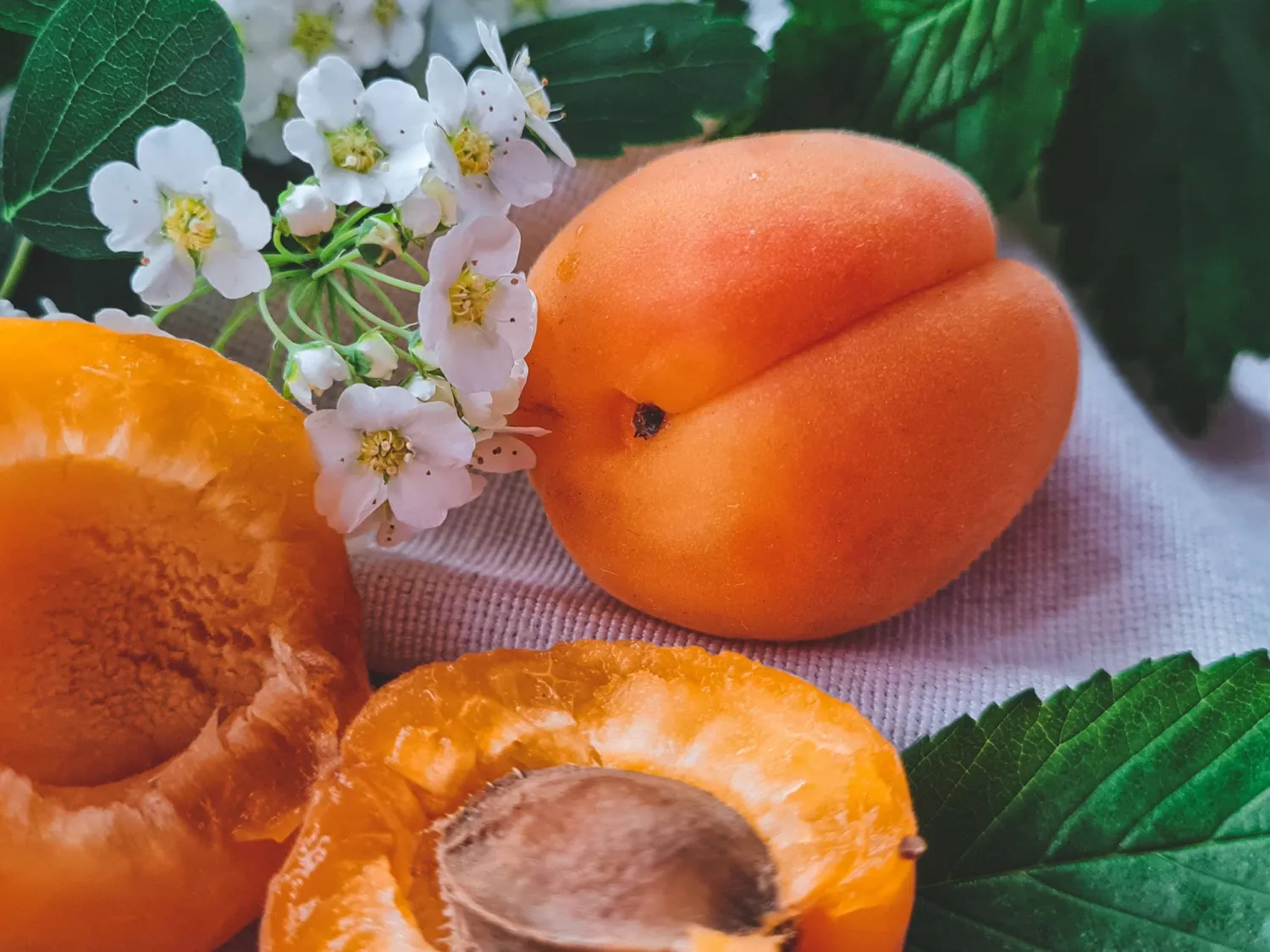 المشمش يُعد مصدراً غنياً بمضادات الأكسدة (بيكسلز)