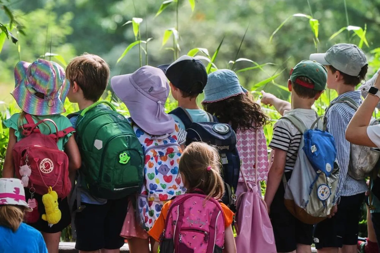  A school class visit the zoo of Kronberg near Frankfurt, Germany, Tuesday, June 23, 2026. (AP) 