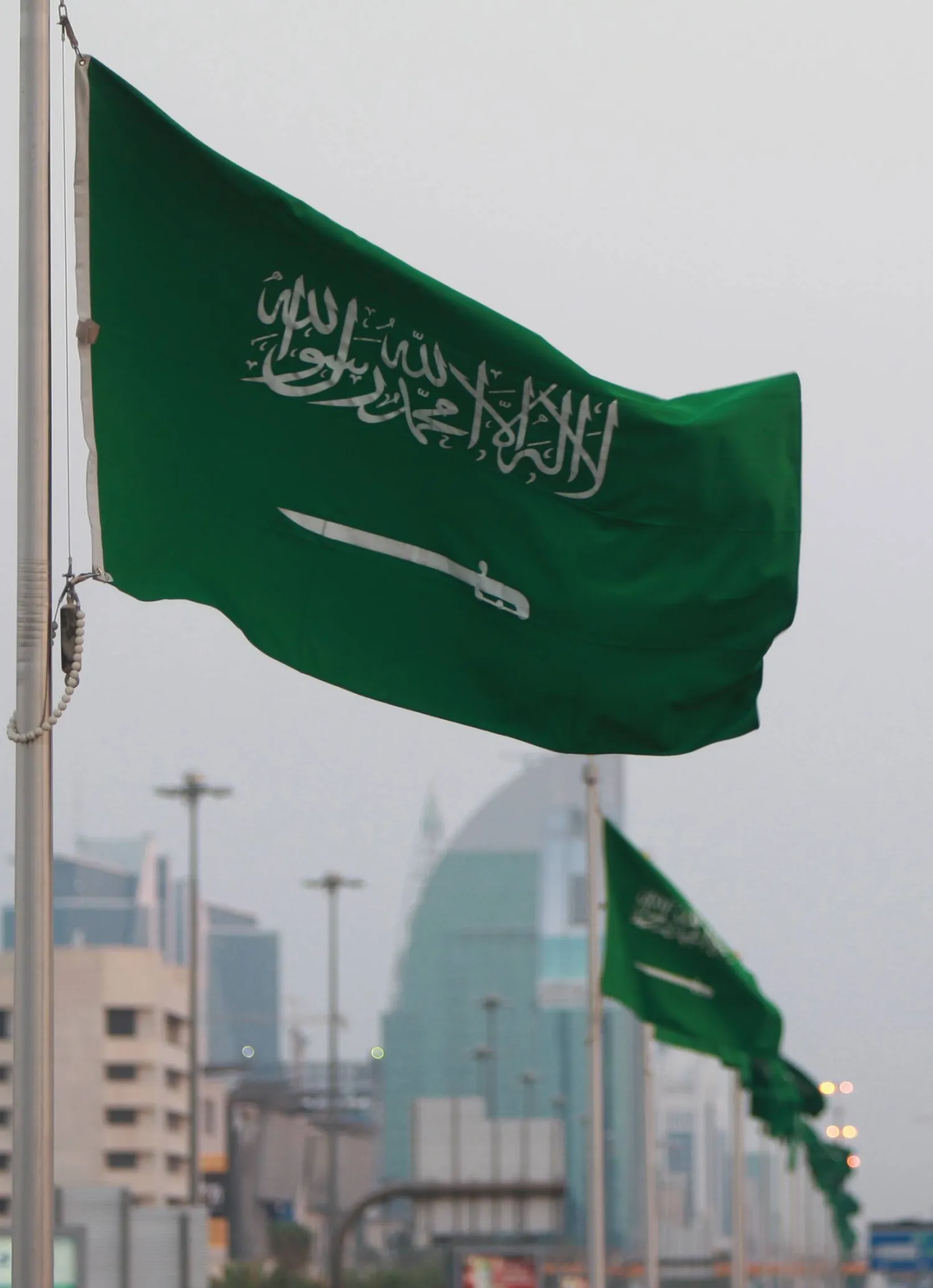التصريح الإلكتروني يوفر إمكانية زيارة السعودية لأغراض متعددة تشمل السياحة والدراسة القصيرة والأعمال (الشرق الأوسط)