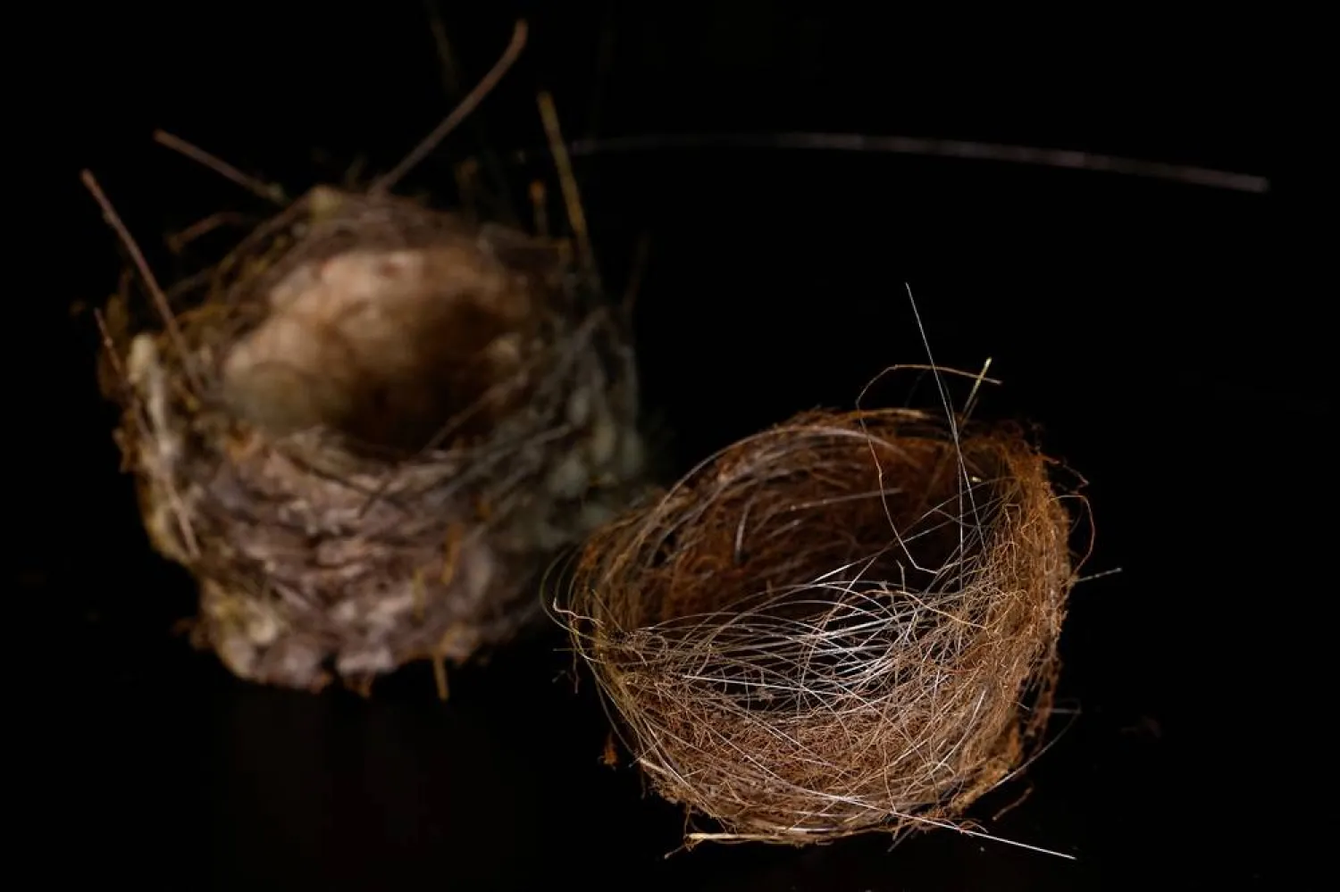 Bird's nests made with fragments of optic fiber, which were found by a Ukrainian serviceman on the front line and then passed to the National Museum of the History of Ukraine in the Second World War, lie on a table in a museum, amid Russia's attack on Ukraine, in Kyiv, Ukraine June 23, 2026. (Reuters)