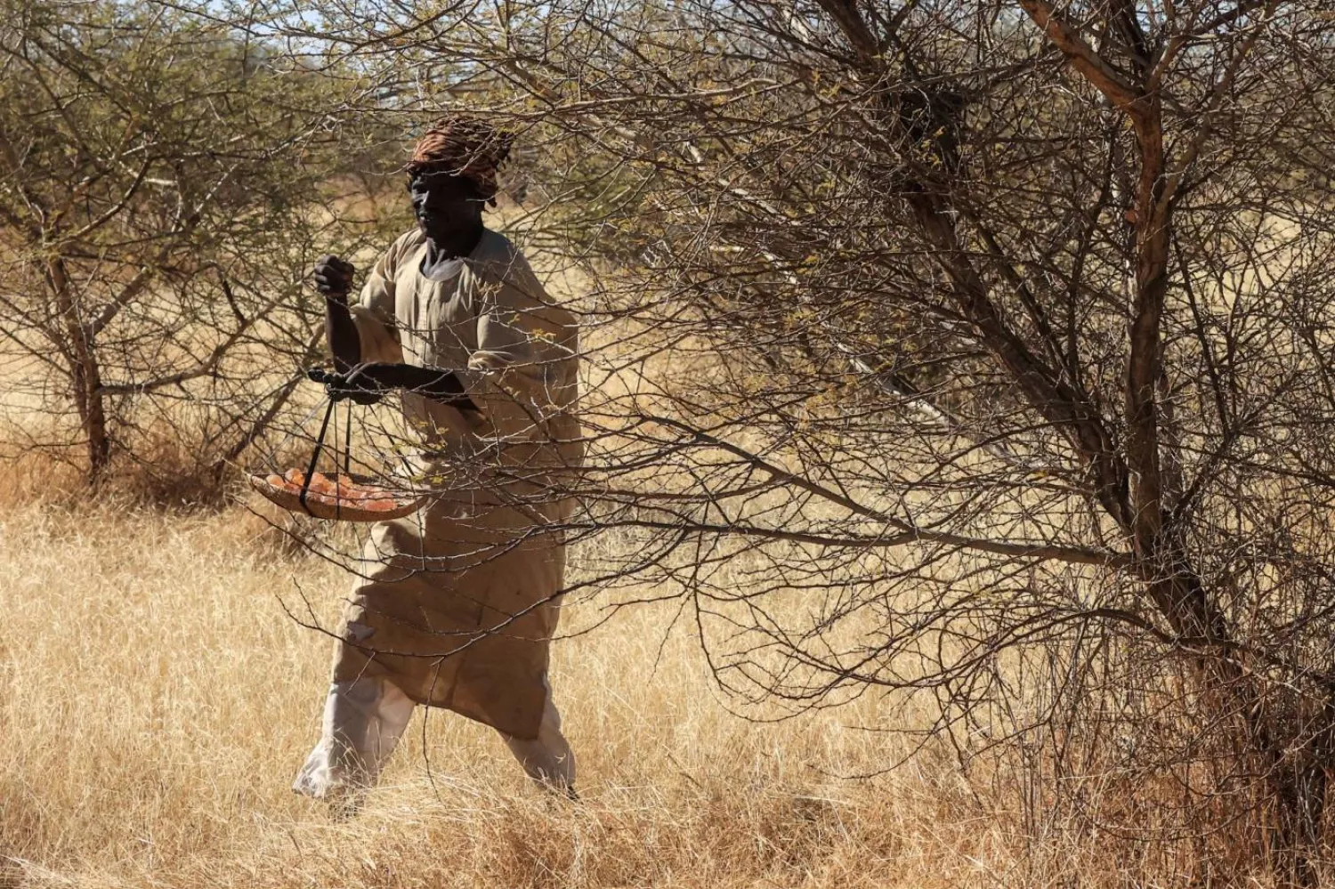 Sudan’ın zamk üretiminin bir kısmı çatışmalardan etkilenen bölgelerden geliyor. (AFP)