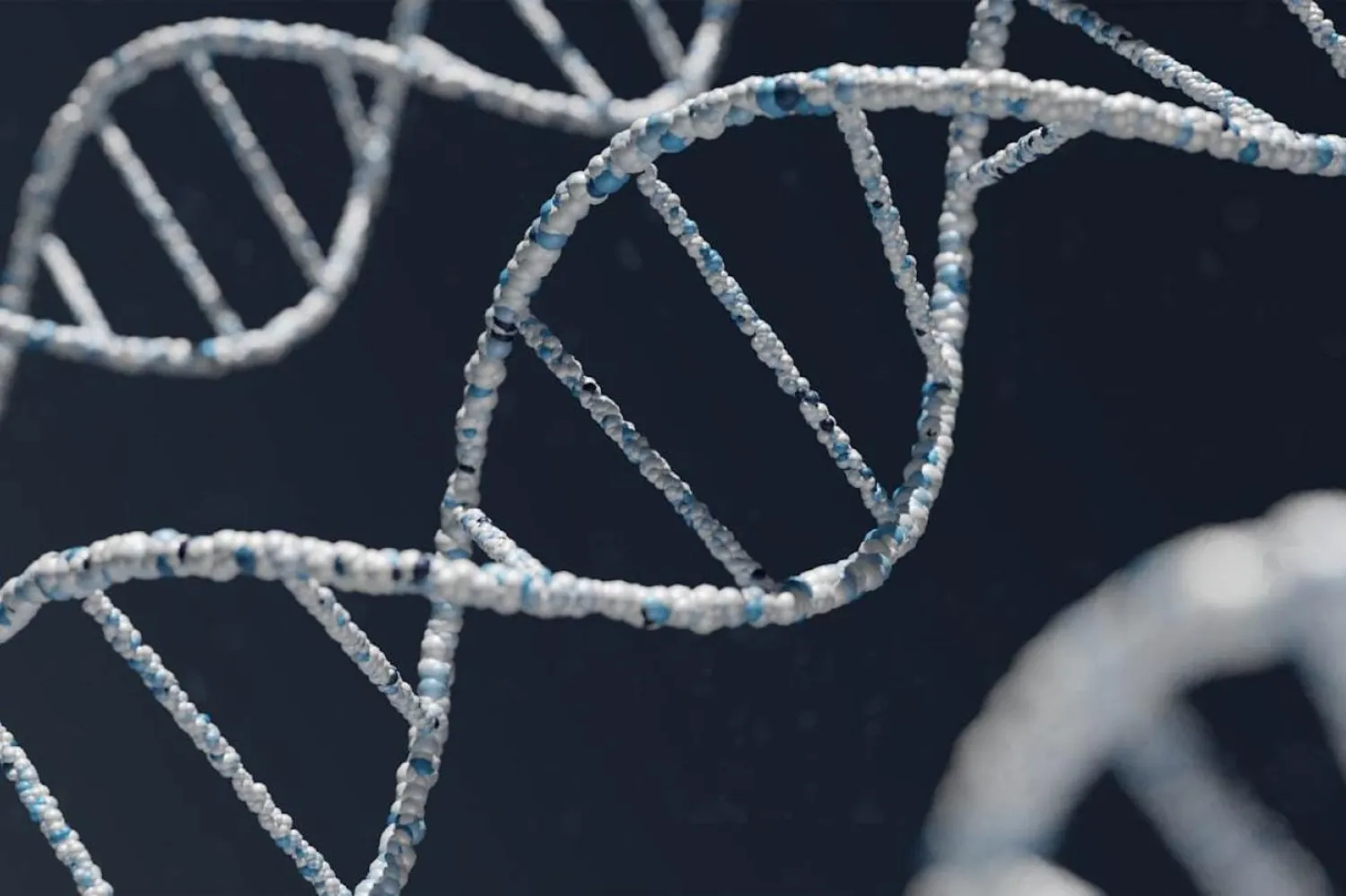 DNA'daki mutasyonlar yaşam süresini sınırlasa da araştırmacılar tek engelin bu olmadığını söylüyor (Unsplash)