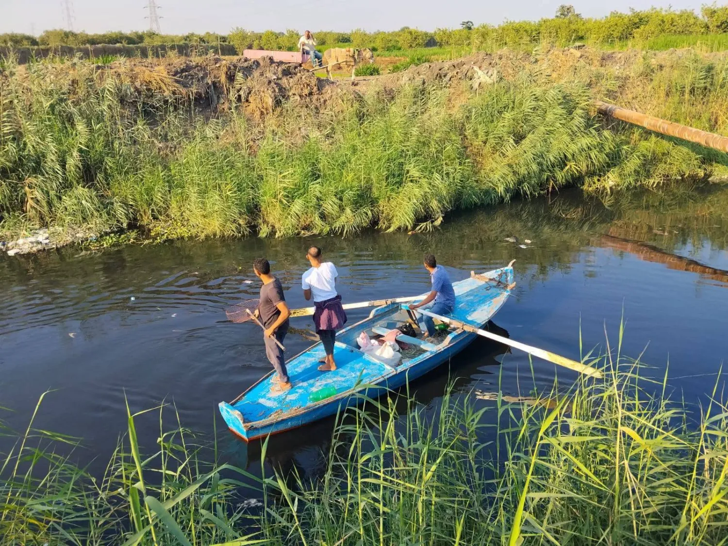جانب من أعمال البحث عن تمساح بالقليوبية (محافظة القليوبية)