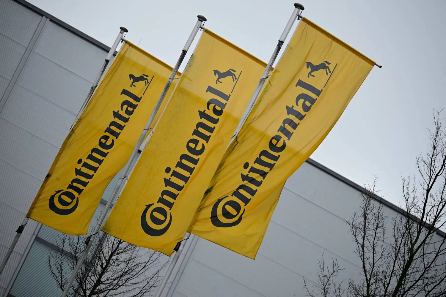 FILE PHOTO: Flags with the logo of German tyremaker Continental flutter in Korbach, Germany, February 27, 2026. REUTERS/Fabian Bimmer/File Photo