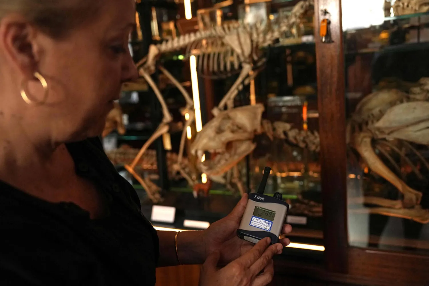 Tannis Davidson, Head of Zoology and Science collections at the Grant Museum of Zoology in London, holds a device displaying the temperature inside the display cases in the museum, in central London on June 26, 2026. (Photo by CARLOS JASSO / AFP)