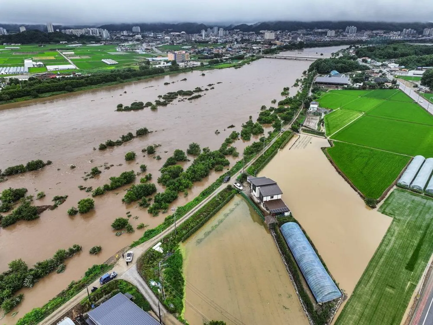 Muddy waters engulf fields and rice paddies along the Yeong River in Mungyeong, North Gyeongsang Province, southeastern South Korea, 09 July 2026, due to heavy rain as a flood warning was issued for the region. (EPA/Yonhap)