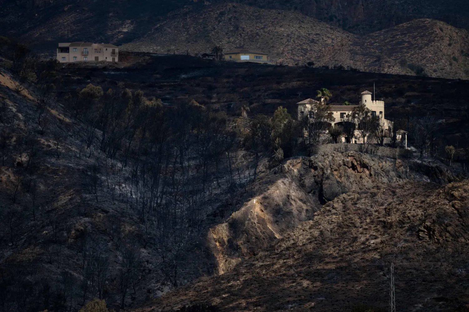 Houses stand amongst a burnt landscape after a wildfire that killed at least 12 people, in Bedar, Almeria Province, on July 12, 2026. (Photo by JORGE GUERRERO / AFP)