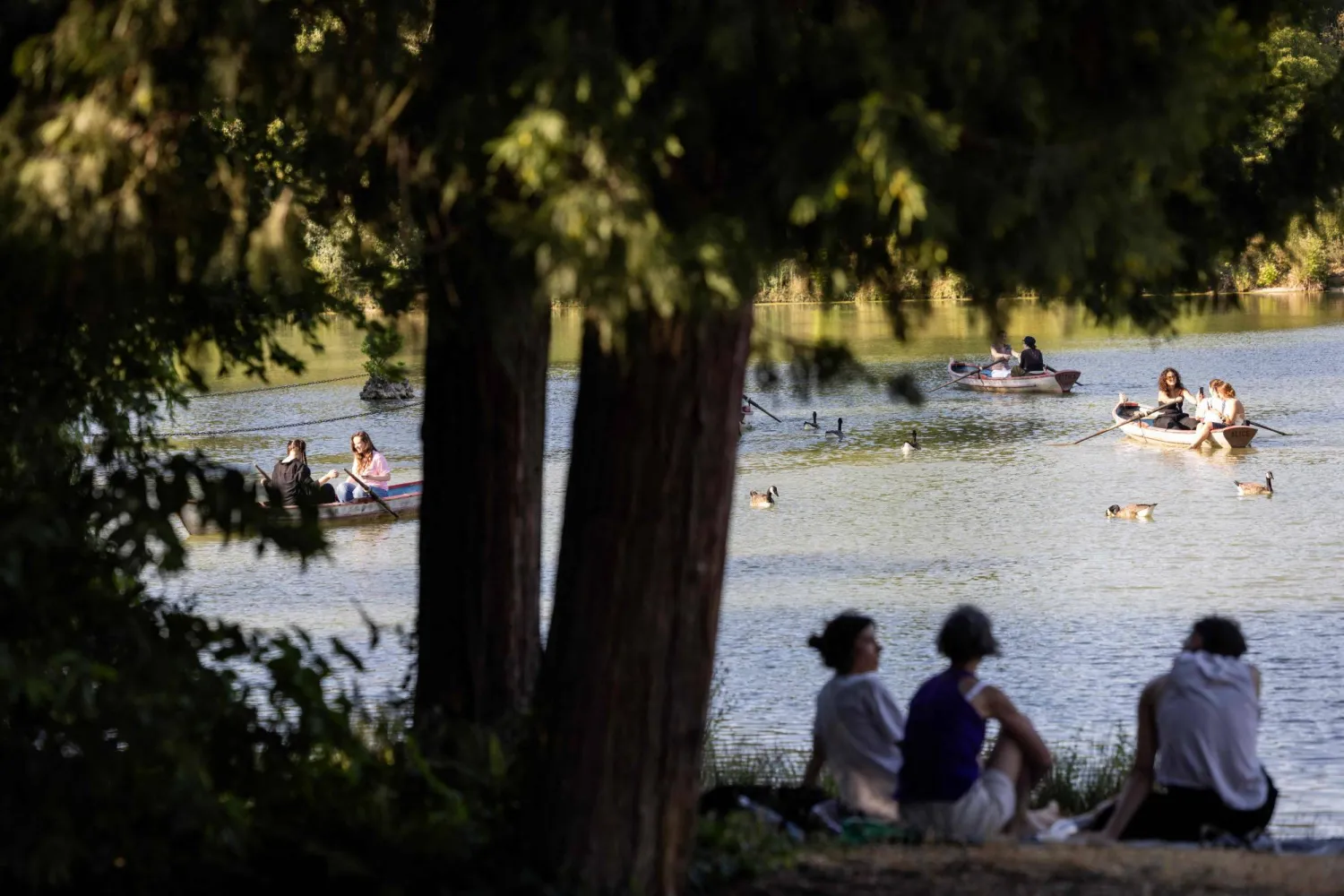 People sit in the shadow of a tree to protect from the sun by the Daumesnil Lake during a heatwave at the Bois de Vincennes park in Paris on July 11, 2026. (Photo by Behrouz MEHRI / AFP)