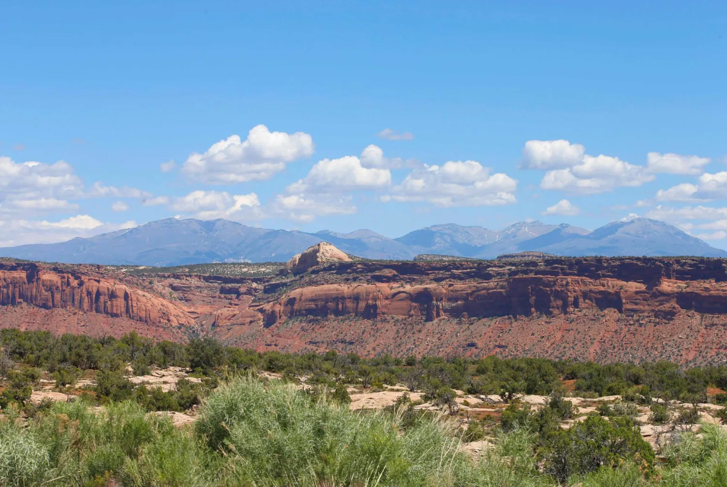 (FILES) Cedar trees, sandstone formations and mountains are shown here in the Bears Ears National Monument on May 12, 2017 outside Blanding, Utah. (Photo by GEORGE FREY / GETTY IMAGES NORTH AMERICA / AFP)