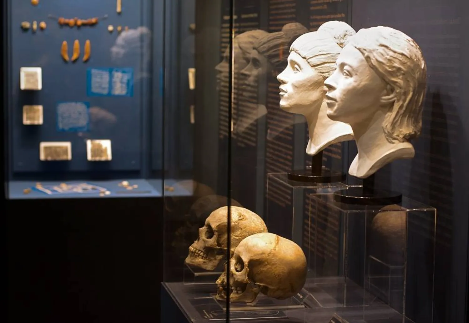 Roman-era skulls and their facial reconstructions are on display at the Aquincum Museum's exhibition titled "Once we were like you" which showcases characters and the fictional life stories of those who once lived in the bustling Roman settlement of Aquincum, in Budapest, Hungary, Tuesday, July 7, 2026. (AP) 