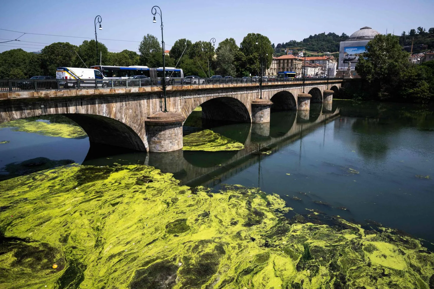 The picture shows algae covering the surface of the Po River near Vittorio Emanuele I Bridge in Turin, northwestern Italy, on July 14, 2026. (Photo by Marco BERTORELLO / AFP)