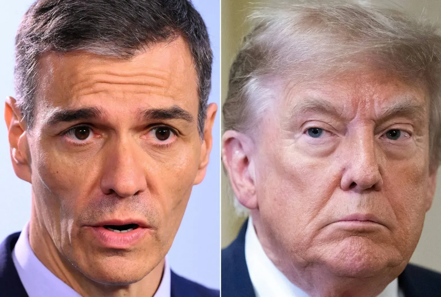 İspanya Başbakanı Pedro Sanchez, Dünya Kupası finalini ABD Başkanı Donald Trump ile birlikte izleyecek. (AFP)