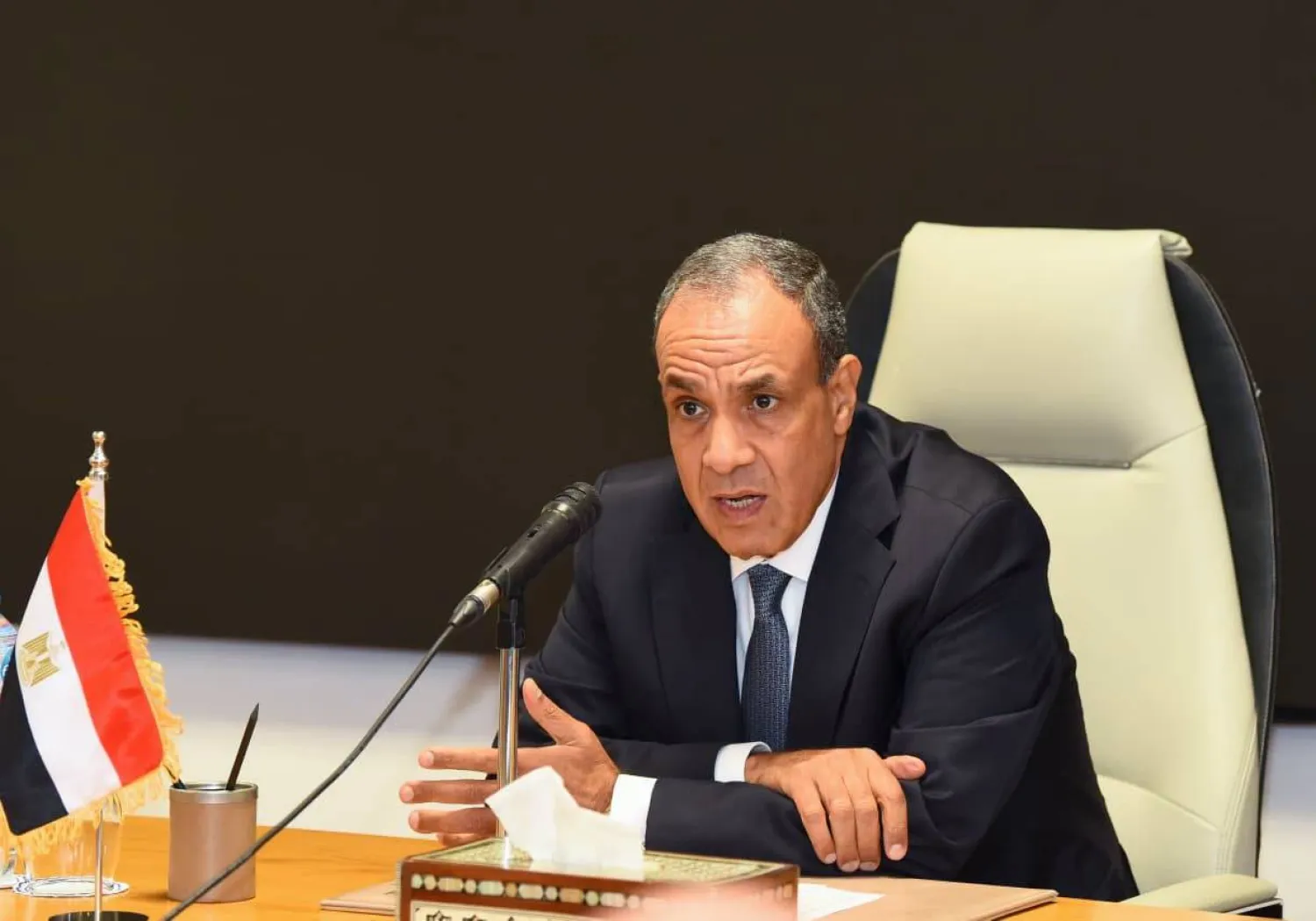 وزير الخارجية المصري بدر عبد العاطي (وزارة الخارجية)