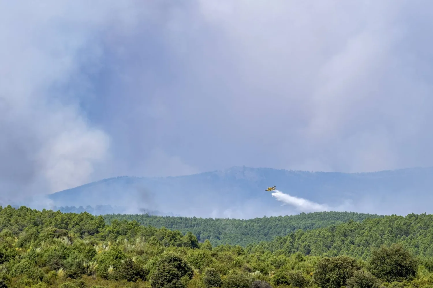 A seaplane battles a wildfire that started on Thursday in La Mierla, Guadalajara, July 18, 2026. (EPA)