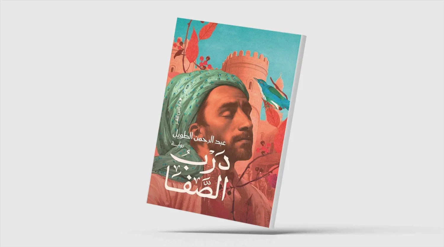 حكاية الفسطاط في العصر الأيوبي