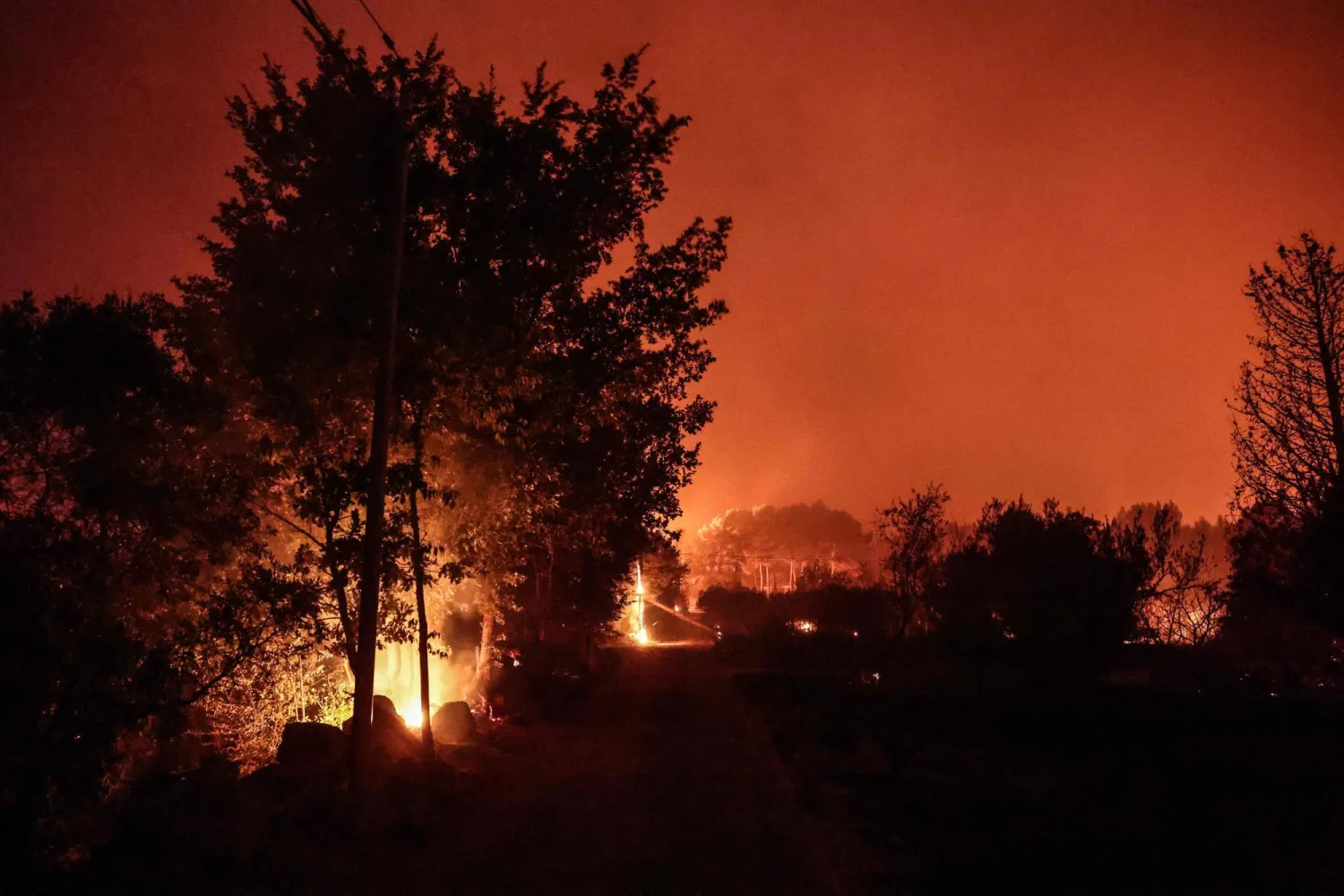 File photo: Vegetation in a residential neighborhood is engulfed in flames in Cotignac, southeastern France, on July 22, 2026. (Photo by Thibaud MORITZ / AFP)