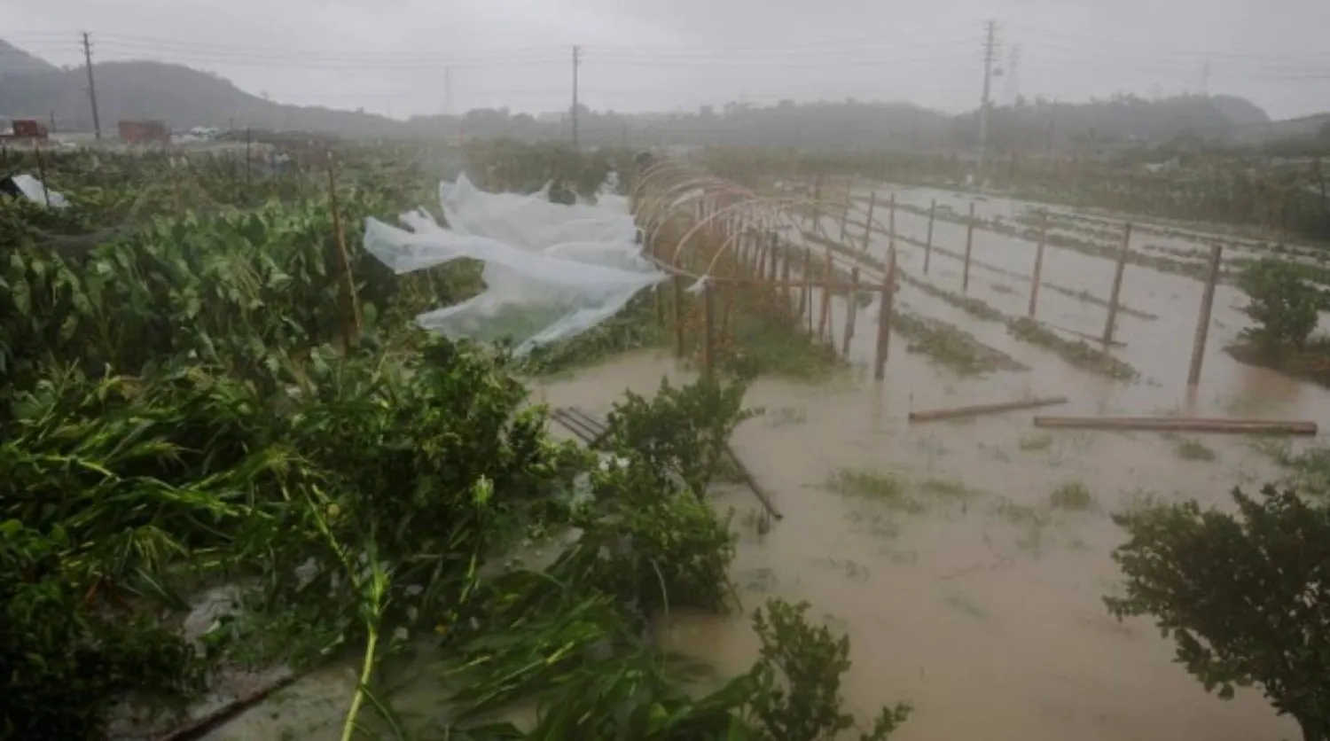 Farmland is flooded by heavy rain brought by Typhoon Bavi in Wenzhou, Zhejiang province, China (Reuters)