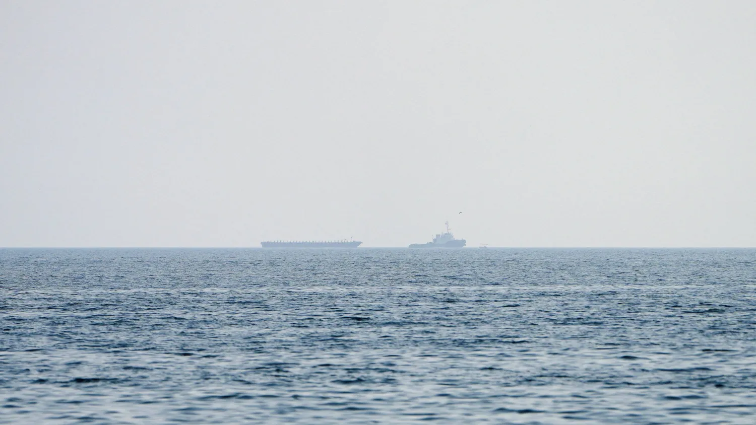  Vessels at the Strait of Hormuz, as seen from Musandam, Oman, July 23, 2026. (Reuters)