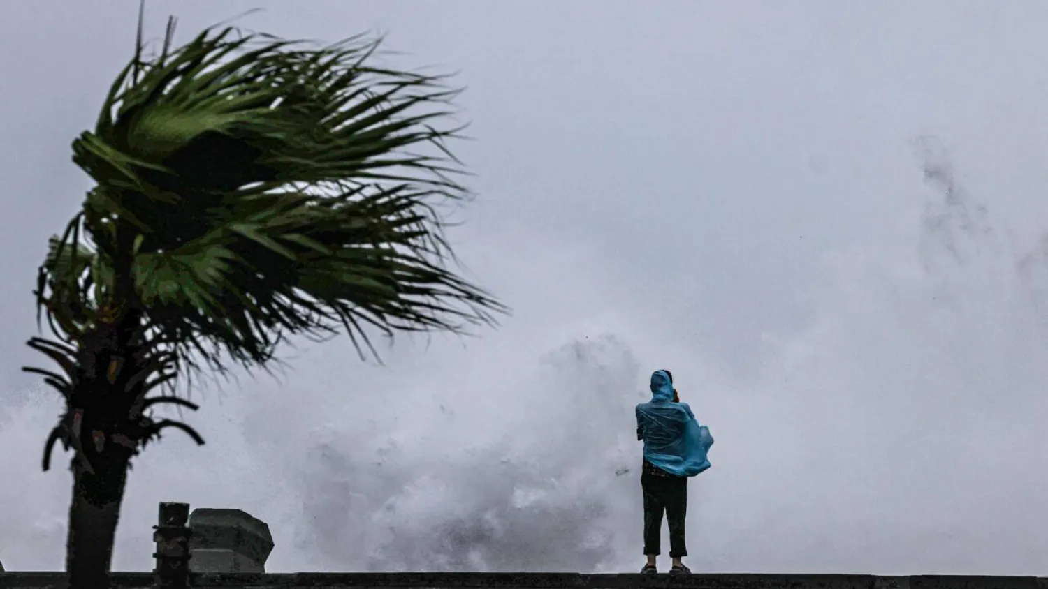 A person looks on as large waves crash against the coast as Typhoon Bavi passes off northeastern Taiwan, in Keelung on July 11, 2026. (AFP)