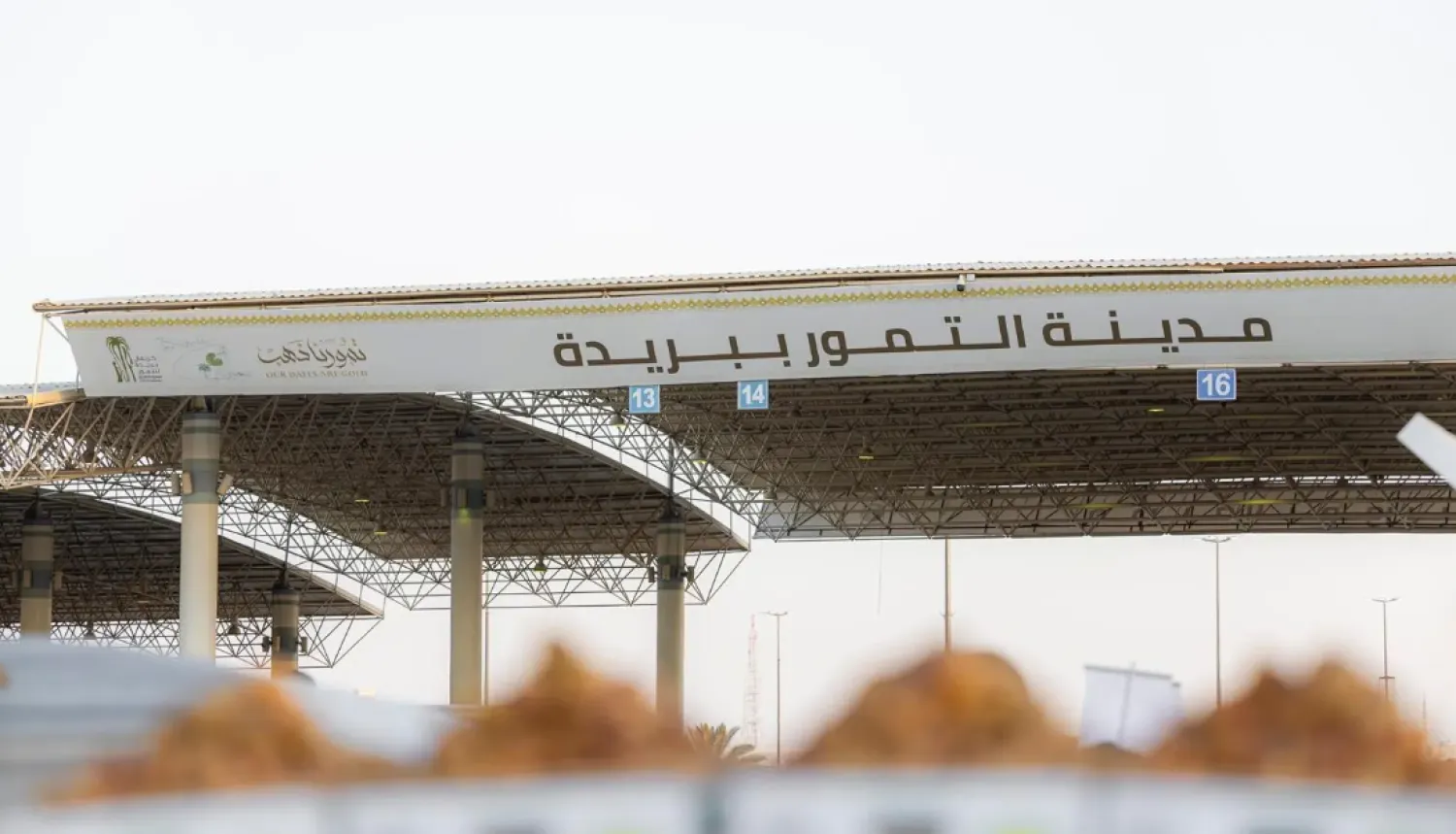 The carnival is the Kingdom's largest agricultural and commercial gathering of its kind - SPA