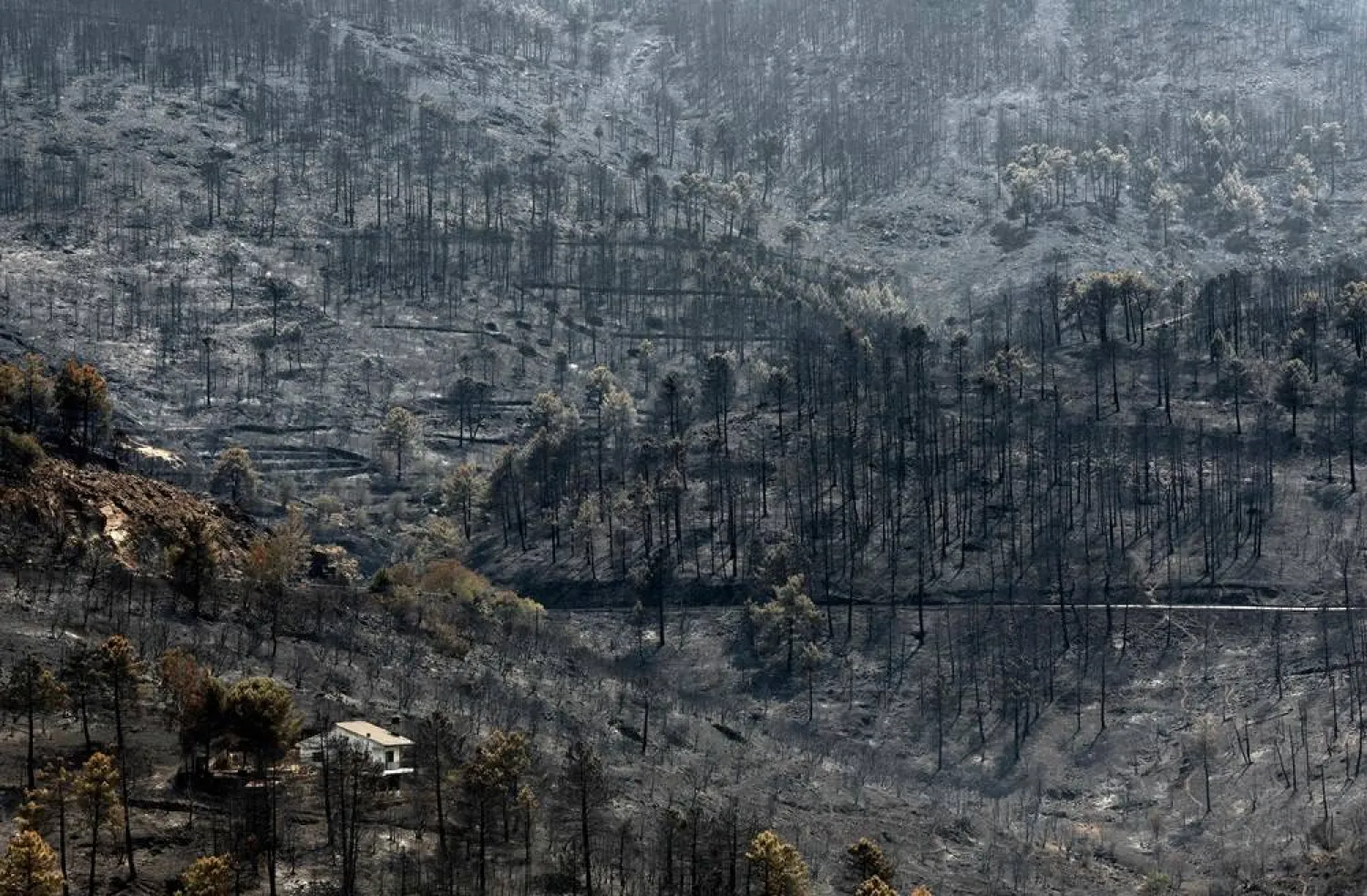 A house in the Iruelas Valley is surrounded by mountain slopes scorched by a wildfire, near El Tiemblo, 80 kilometers west of Madrid, on July 29, 2026. (AFP)