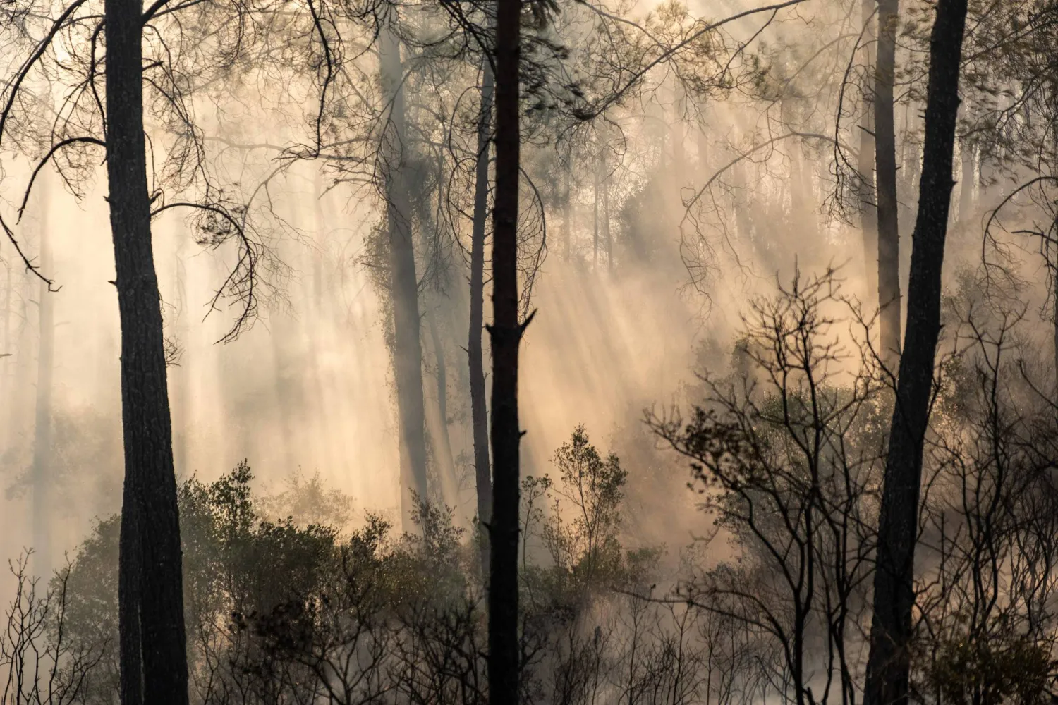 This photograph shows smoke rising from wildfires in Fethiye, in the province of Mugla, southwestern Türkiye on July 30, 2026. (AFP)