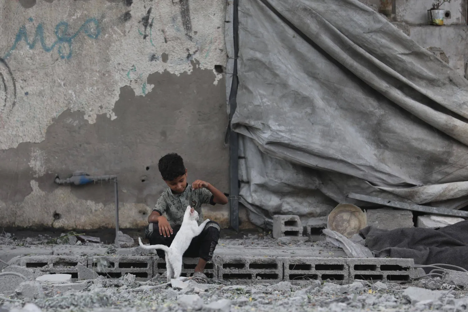 30 July 2026, Palestinian Territories, Nusairat: A Palestinian child plays with a cat surrounded by the damage caused by an Israeli airstrike that targeted a house belonging to the al-Qalqili family in al-Bureij refugee camp, in the central Gaza Strip. (dpa)