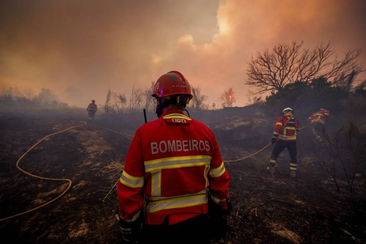 Firefighters battle the flames during a wildfire in Valpacos, Portugal, 30 July 2026. (EPA)