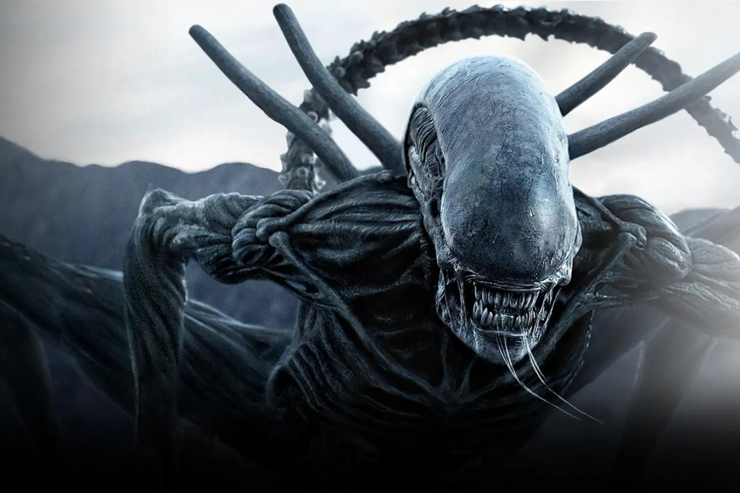 Ridley Scott'ın 2017'de çektiği Yaratık: Covenant, galaksinin uzak bir köşesinde cennet sanılan ancak karanlık ve ölümcül bir tuzağa dönüşen bir gezegene inen koloni gemisi mürettebatının hayatta kalma mücadelesini anlatıyor (20th Century Studios)