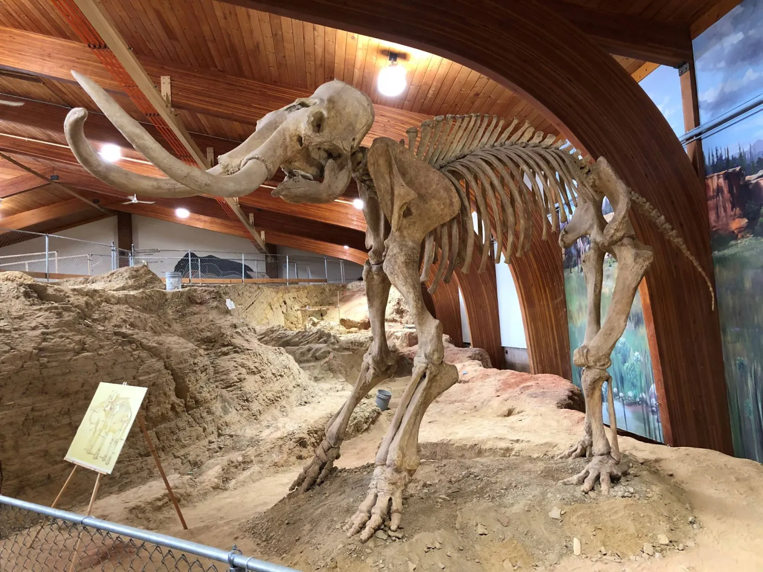 FILE PHOTO: The skeleton of a mammoth, one of the large mammals that roamed North America during the last Ice Age, is displayed at the Mammoth Site where numerous mammoth fossils have been excavated in Hot Springs, South Dakota, US August 31, 2018. REUTERS/Will Dunham/File Photo