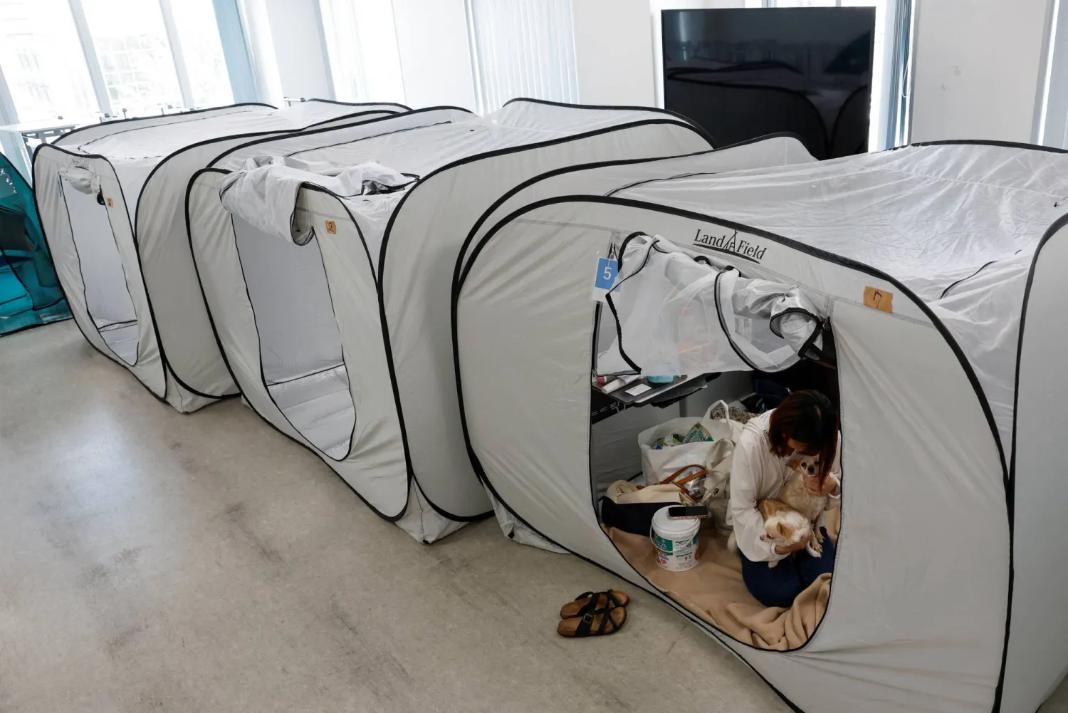 Tomoko Takaoka, 31, who evacuated from Uki with her pet dogs Chihuahua Ku (7) and Chihuahua mixed with poodle Sheri (8), after a preliminary magnitude 7.1 earthquake struck Japan's southern Kumamoto Prefecture, sits in a tent at the Kyushu Animal Academy in a shelter for evacuees with pets in Kumamoto, Japan, July 31, 2026. REUTERS/Kim Kyung-Hoon