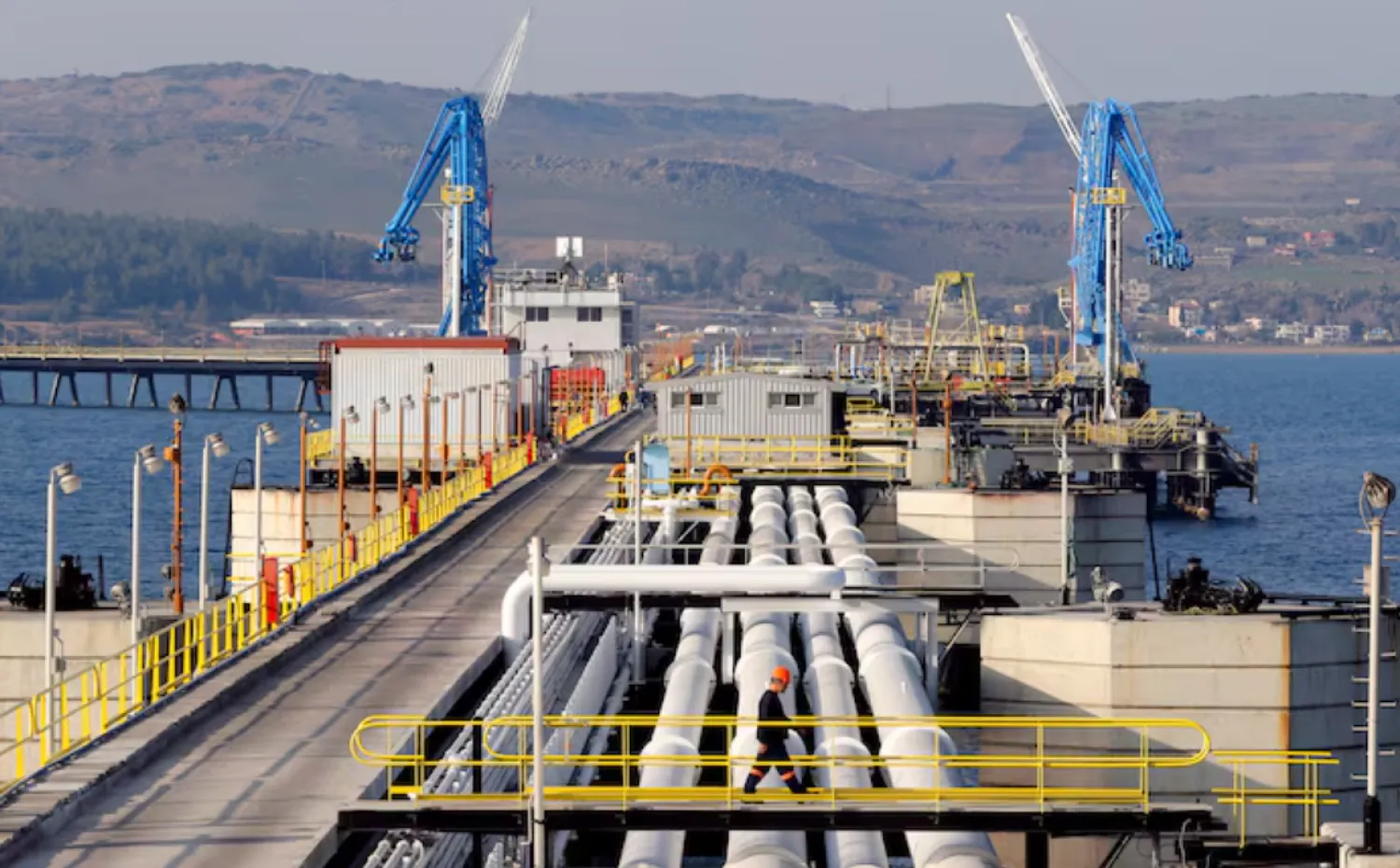 A general view at Türkiye Mediterranean port of Ceyhan. REUTERS/Umit Bektas/ File Photo