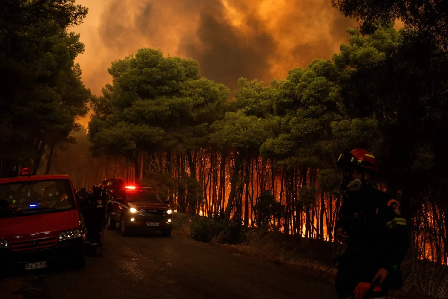 Greek firefighters try to extinguish a wildfire in the area of Porto Germeno, some 70 kilometers (45 miles) northwest of Athens in the region of Viotia, on August 1, 2026. (AFP)