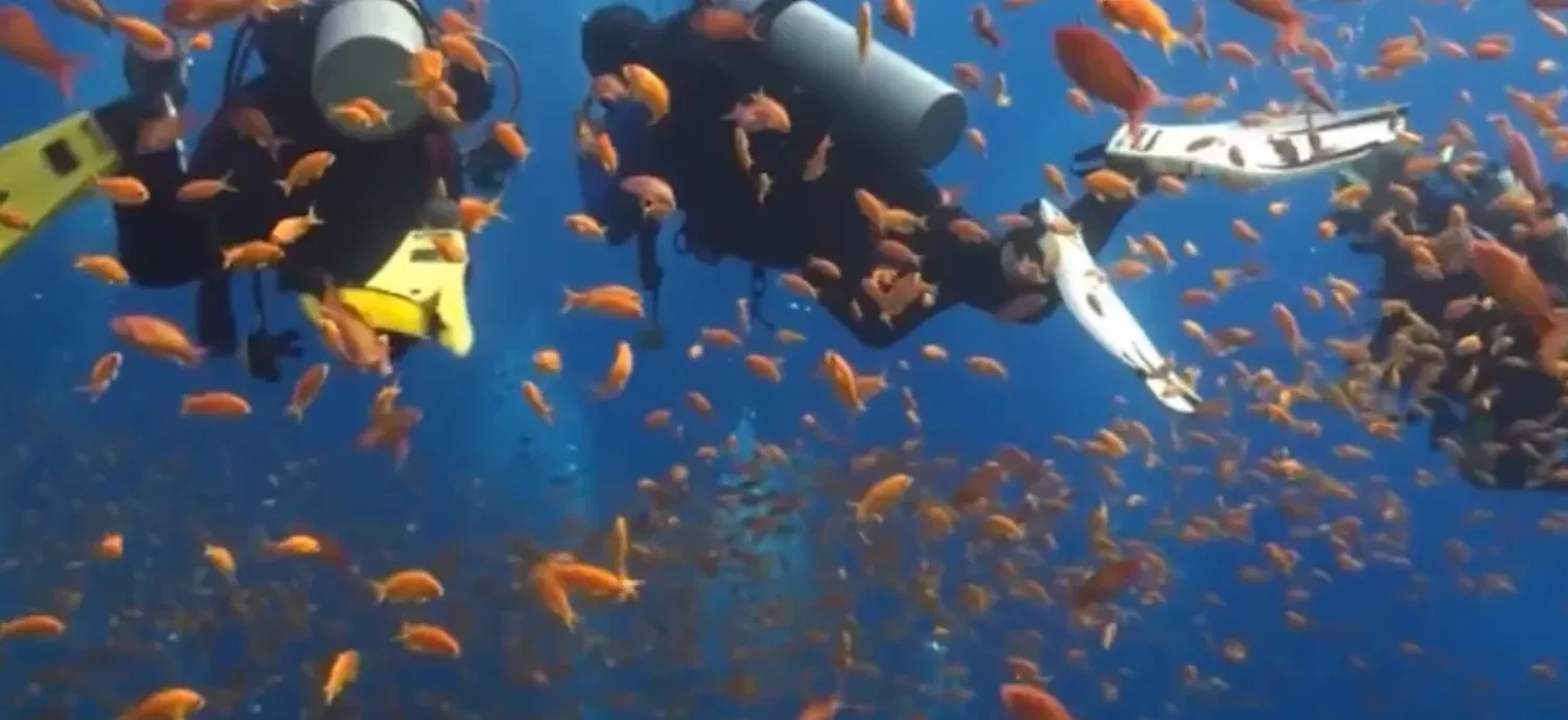 Diving at Nabq Nature Reserve (Environment Ministry)