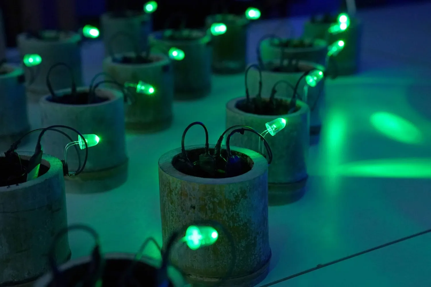 This photo taken on May 26, 2026, shows ultra-small-scale power harvesting that generates electricity using organic materials such as soil and bamboo, produced by Japanese product designer Japanese product designer and engineer Satoshi Nakagawa at his laboratory in Tokyo. (AFP) 