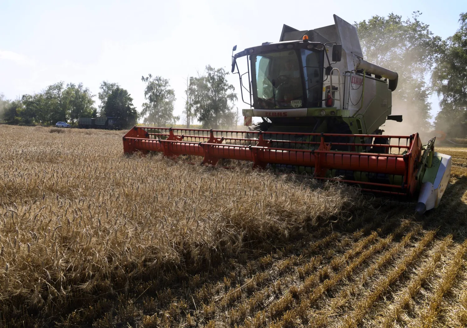 Combine harvesters work on a field in the Kharkiv area, Ukraine, 03 August 2026, amid the ongoing Russian invasion. (EPA)