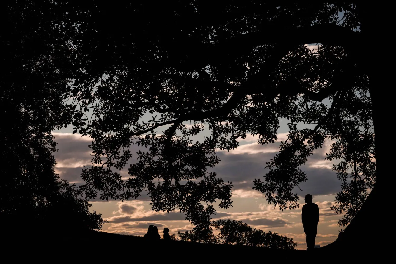 Tourists stand underneath trees atop of Observatory Hill at sunset in Sydney on August 5, 2026. (Photo by DAVID GRAY / AFP)