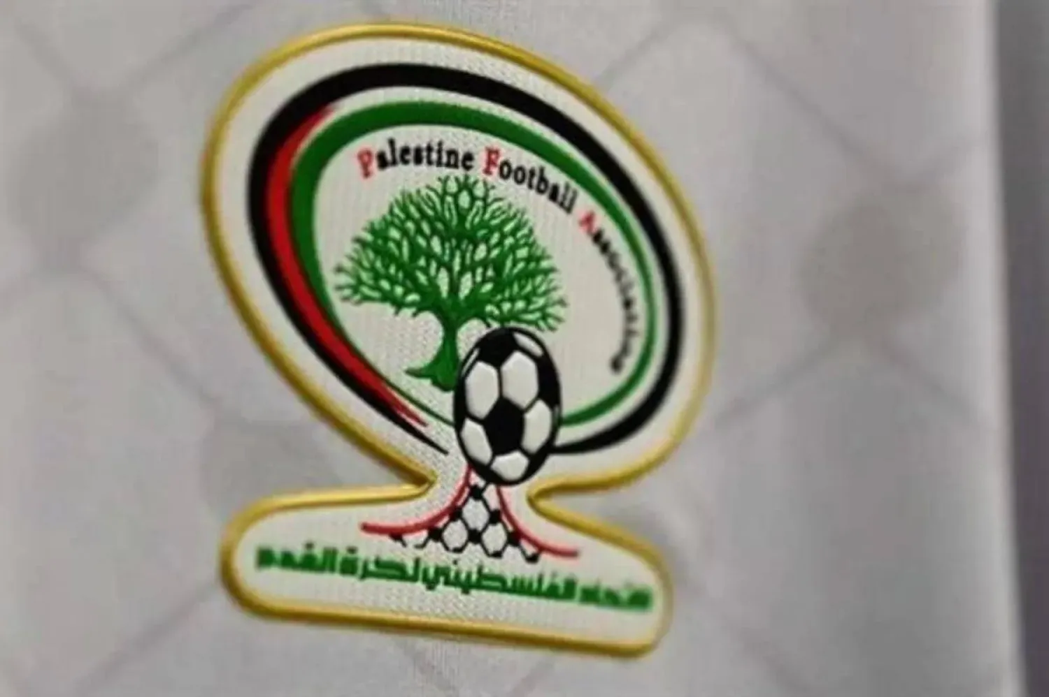 الاتحاد الفلسطيني لكرة القدم (الاتحاد الفلسطيني)