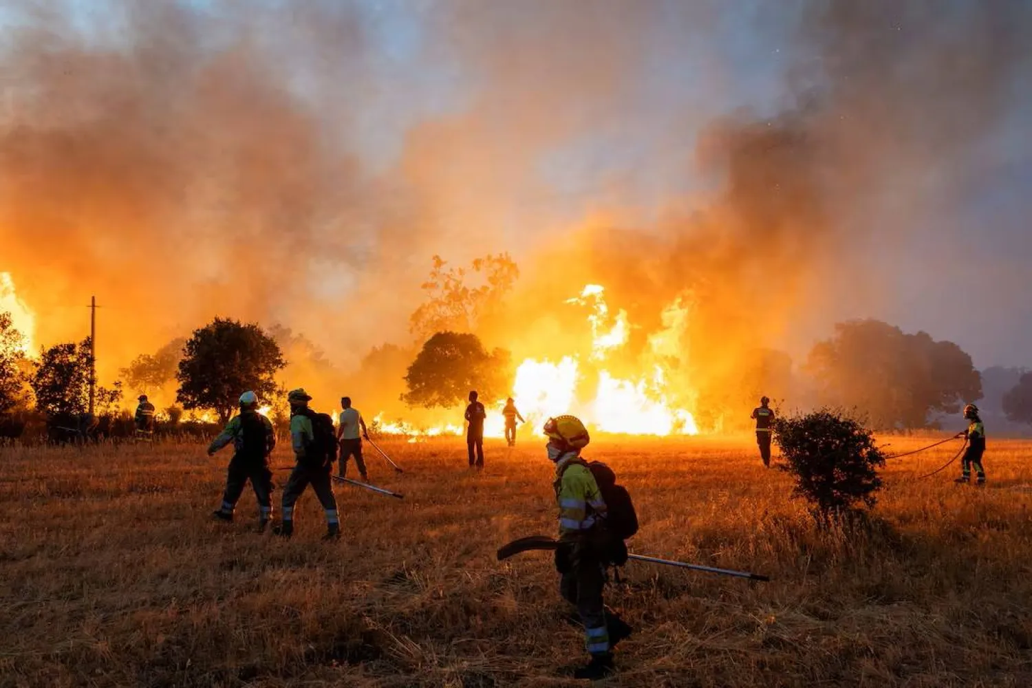Residents and firefighters work to extinguish an advancing wildfire near Formariz in Zamora province, Spain, July 29, 2026. REUTERS/Umit Bektas/File Photo