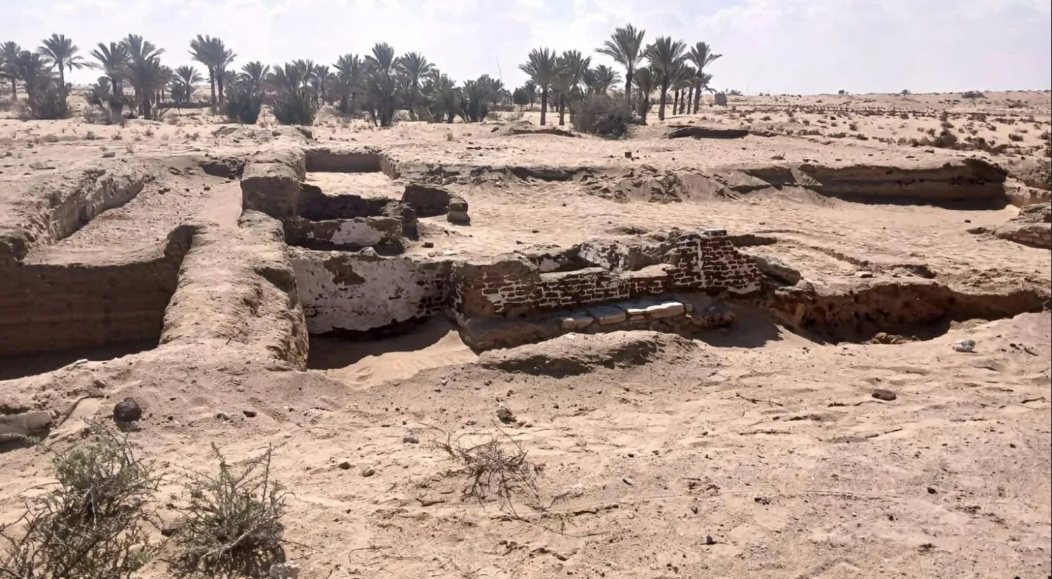 جانب من الكشف الأثري (وزارة السياحة والآثار)