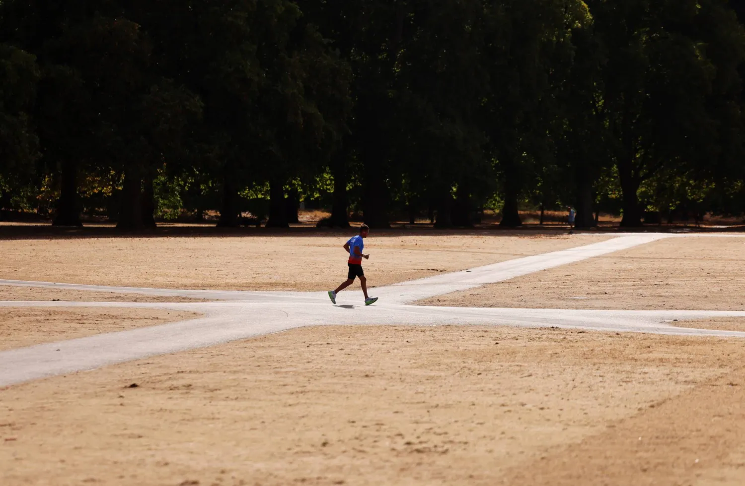 A man runs across the parched park lands of Hyde Park in central London, Britain, 11 August 2026. (EPA)