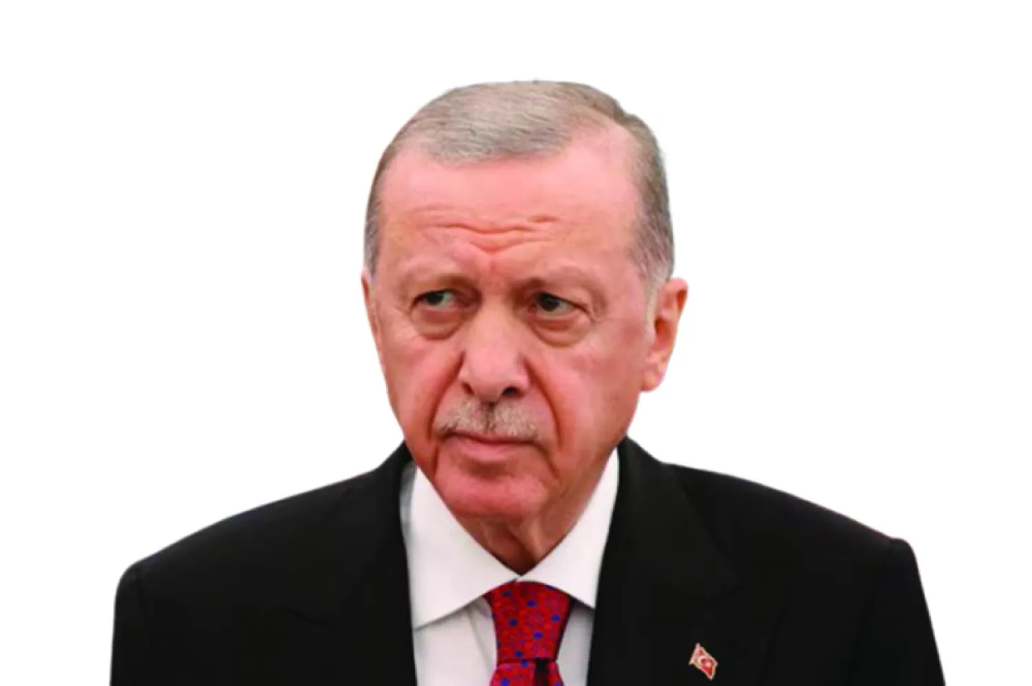
Erdoğan-  cut out