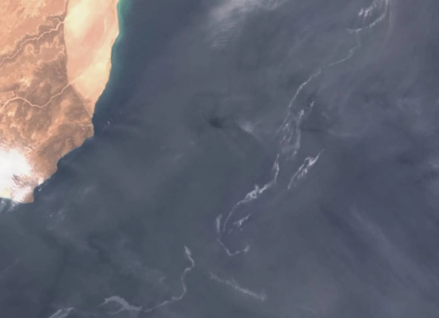A satellite image shows an oil spill off the coast of Oman, August 11, 2026. (European Union/Copernicus Sentinel-3/Handout via Reuters) 