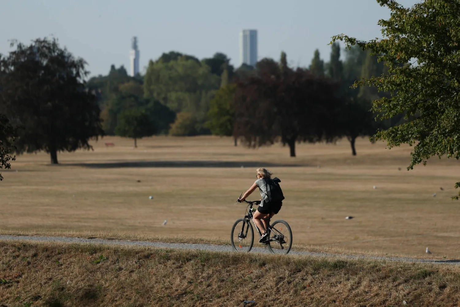 A person cycles through parched parkland in Birmingham, Britain, 13 August 2026. (EPA)