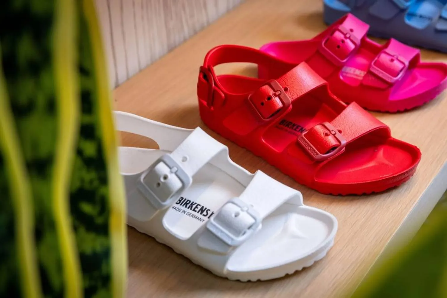 Shares of the German sandal maker were up ‌7% in ‌premarket trading.  (Getty Images)
