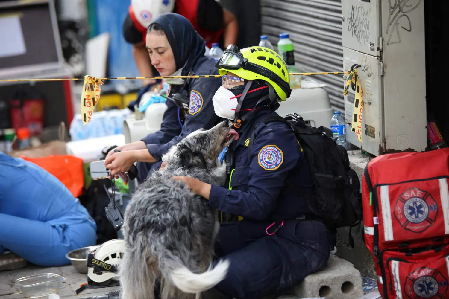 A rescuer pets a dog in the aftermath of an earthquake, in Pereira, Colombia, August 12, 2026. REUTERS/Juan David Duque