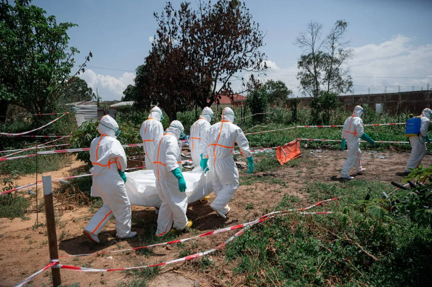 Demokratik Kongo Cumhuriyeti'nde Kızılhaç gönüllüleri, ülkenin doğusundaki Ituri eyaletinde Ebola virüsü kurbanı bir kişinin cesedini taşıyor (AFP)